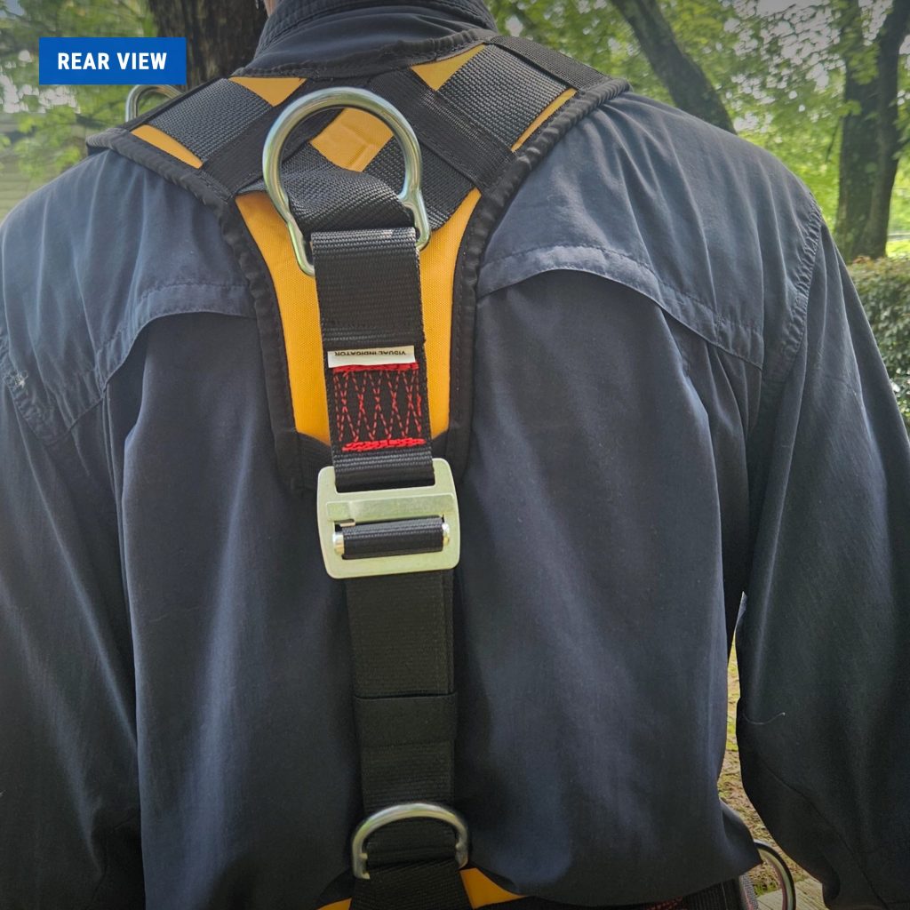 PMI Avatar Deluxe Harness worn outdoors, rear view